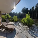 Austrian Alps With Access